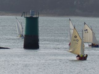 Lire la suite à propos de l’article ZEM Golfe du Morbihan 2017