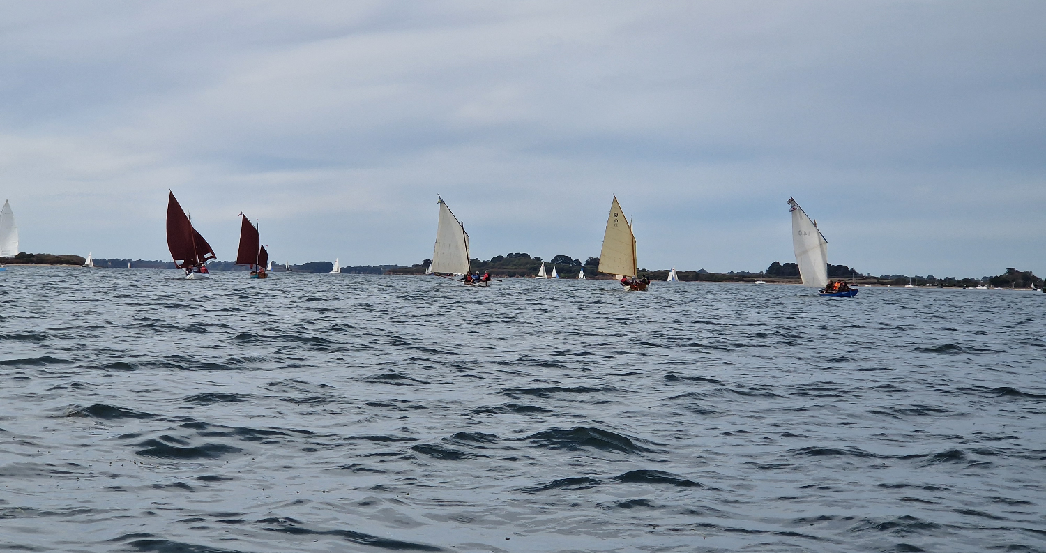 Lire la suite à propos de l’article ZEM Golfe du Morbihan octobre 2026